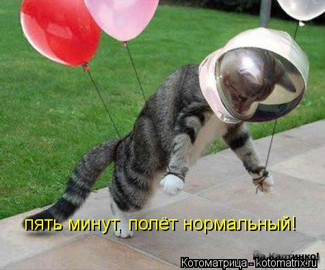 Котоматрица: пять минут, полёт нормальный!