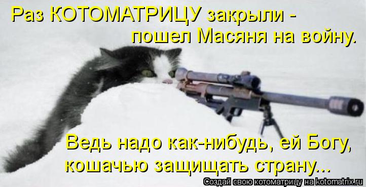 Раз КОТОМАТРИЦУ закрыли - пошел Масяня на войну. Ведь надо как-нибудь, ей Богу, кошачью защищать стр... Котоматрица: Раз КОТОМАТРИЦУ закрыли - пошел Масяня на войну. Ведь надо как-нибудь, ей Богу, кошачью защищать страну...