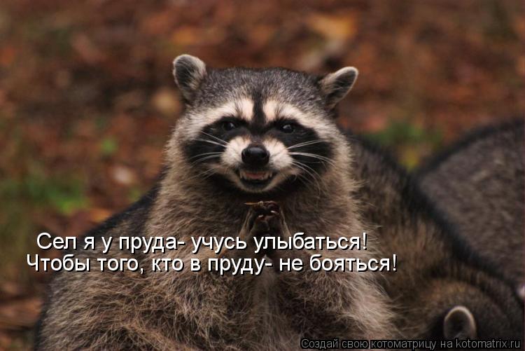 Сел я у пруда- учусь улыбаться! Чтобы того, кто в пруду- не бояться!... Котоматрица: Сел я у пруда- учусь улыбаться! Чтобы того, кто в пруду- не бояться!