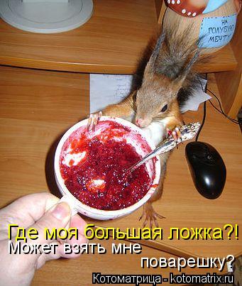 Где моя большая ложка?! Может взять мне поварешку?... Котоматрица: Где моя большая ложка?! Может взять мне поварешку?
