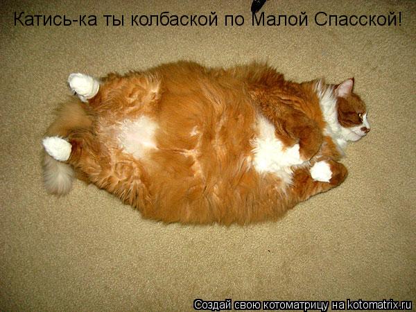 Катись-ка ты колбаской по Малой Спасской!... Котоматрица: Катись-ка ты колбаской по Малой Спасской!