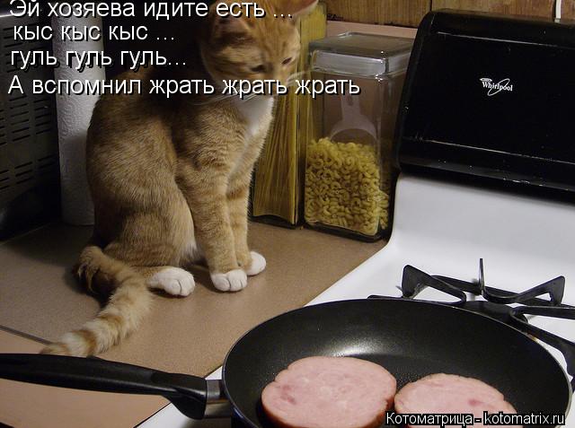 Котоматрица: Эй хозяева идите есть ... кыс кыс кыс ... гуль гуль гуль... гуль гуль гуль... А вспомнил жрать жрать жрать
