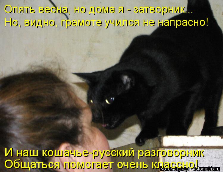 И наш кошачье-русский разговорник Общаться помогает очень классно! Опять весна, но дома я - затворник... Котоматрица: И наш кошачье-русский разговорник Общаться помогает очень классно! Опять весна, но дома я - затворник... Но, видно, грамоте учился не напрасно