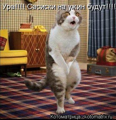 Ура!!!! Сасиски на ужин будут!!!!... Котоматрица: Ура!!!! Сасиски на ужин будут!!!!