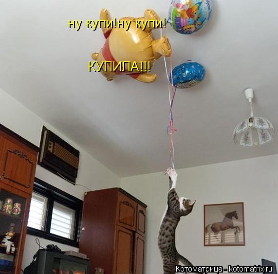 Котоматрица: ну купи!ну купи! КУПИЛА!!!