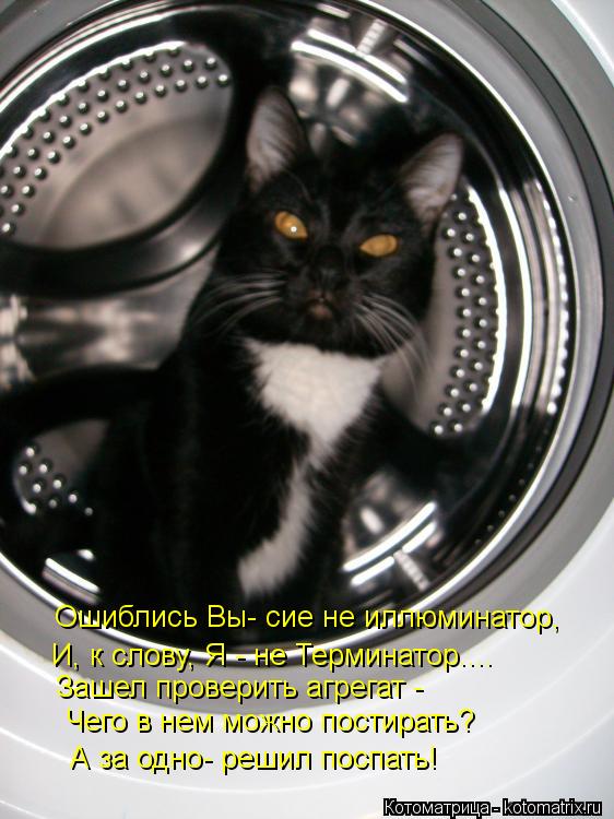 Котоматрица: Ошиблись Вы- сие не иллюминатор, И, к слову, Я - не Терминатор.... Зашел проверить агрегат - Чего в нем можно постирать?  А за одно- решил поспать!