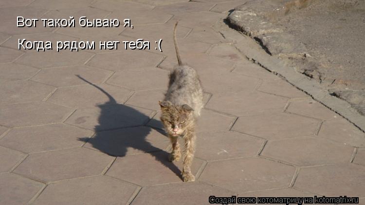 Вот такой бываю я, Вот такой бываю я, Когда рядом нет тебя :( Когда рядом нет тебя :(... Котоматрица: Вот такой бываю я, Вот такой бываю я, Когда рядом нет тебя :( Когда рядом нет тебя :(