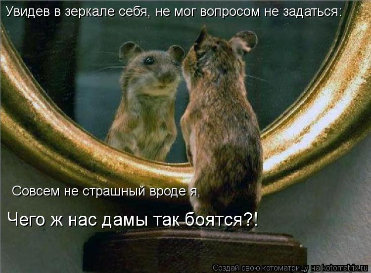 Увидев в зеркале себя, не мог вопросом не задаться: Совсем не страшный вроде я, Чего ж нас дамы так б... Котоматрица: Увидев в зеркале себя, не мог вопросом не задаться: Совсем не страшный вроде я, Чего ж нас дамы так боятся?!