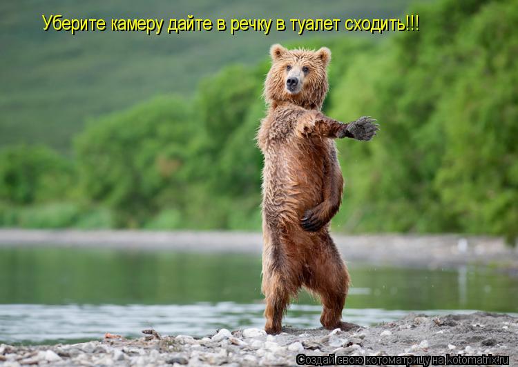 Уберите камеру дайте в речку в туалет сходить!!!... Котоматрица: Уберите камеру дайте в речку в туалет сходить!!!