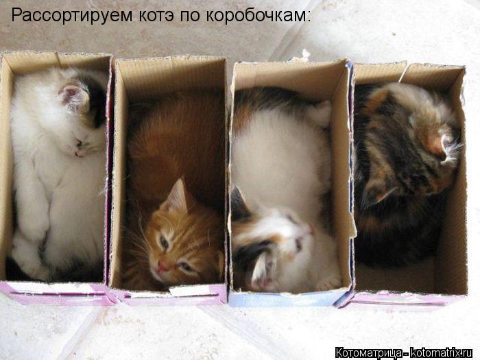 Рассортируем котэ по коробочкам:... Котоматрица: Рассортируем котэ по коробочкам: