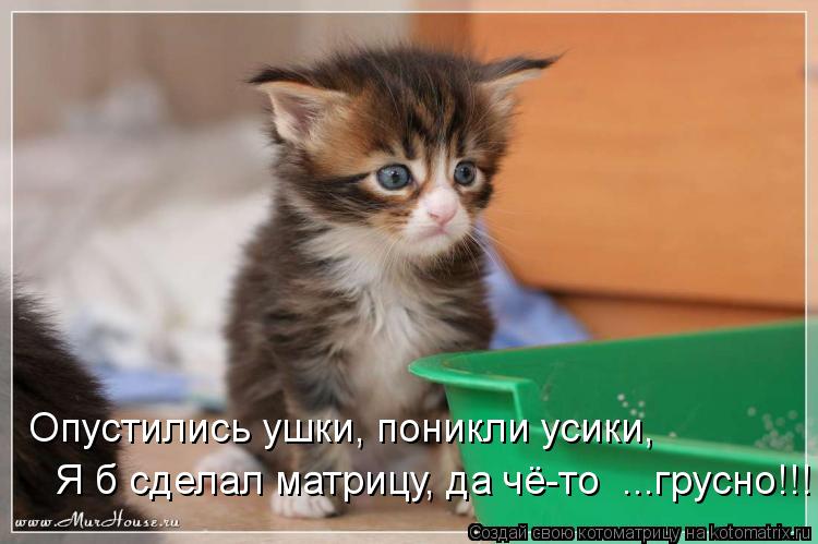 Опустились ушки, поникли усики, Я б сделал матрицу, да чё-то ...грусно!!!... Котоматрица: Опустились ушки, поникли усики, Я б сделал матрицу, да чё-то ...грусно!!!