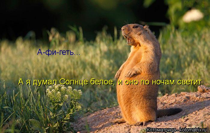 А-фи-геть... А я думал Солнце белое, и оно по ночам светит... Котоматрица: А-фи-геть... А я думал Солнце белое, и оно по ночам светит