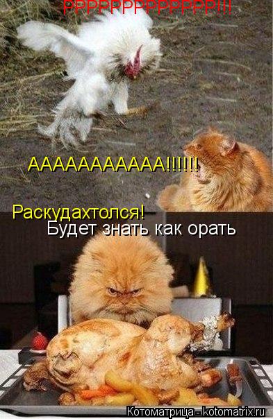 Котоматрица: РРРРРРРРРРРРР!!! ААААААААААА!!!!!! Раскудахтолся! Будет знать как орать