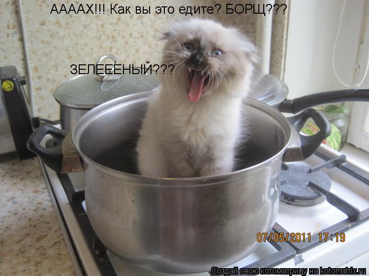 ААААХ!!! Как вы это едите? БОРЩ??? ЗЕЛЕЕЕНЫЙ???... Котоматрица: ААААХ!!! Как вы это едите? БОРЩ??? ЗЕЛЕЕЕНЫЙ???