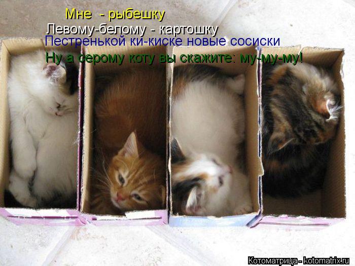 Котоматрица: Мне  - рыбешку Левому-белому - картошку Пестренькой ки-киске новые сосиски Пестренькой ки-киске новые сосиски Ну а серому коту вы скажите: му
