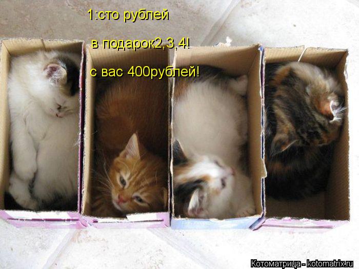 Котоматрица: 1:сто рублей в подарок2,3,4! с вас 400рублей!