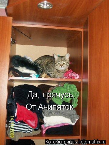 Да, прячусь. От Ачипяток... Котоматрица: Да, прячусь. От Ачипяток