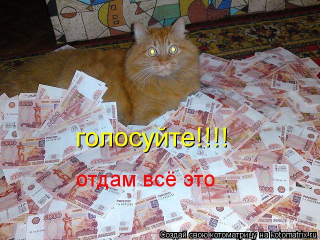 Котоматрица: голосуйте!!!! отдам всё это