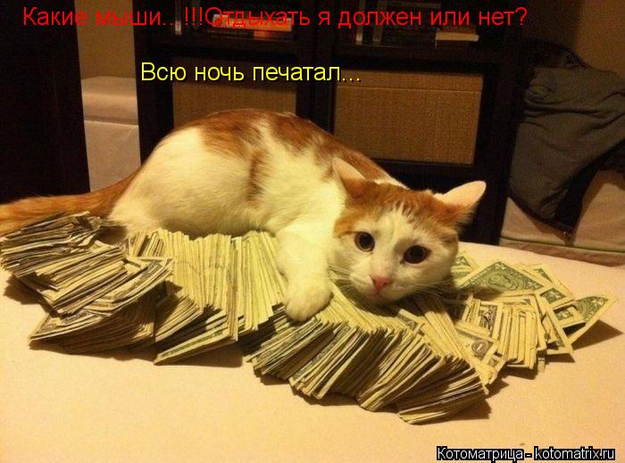 Какие мыши...!!!Отдыхать я должен или нет? Всю ночь печатал...... Котоматрица: Какие мыши...!!!Отдыхать я должен или нет? Всю ночь печатал...