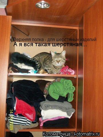 Верхняя полка - для шерстяных изделий А я вся такая шерстяная...... Котоматрица: Верхняя полка - для шерстяных изделий А я вся такая шерстяная...