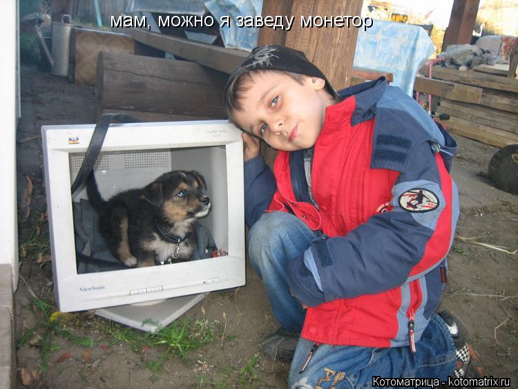 мам, можно я заведу монетор... Котоматрица: мам, можно я заведу монетор