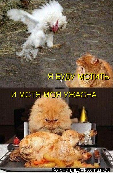Котоматрица: Я БУДУ МСТИТЬ И МСТЯ МОЯ УЖАСНА