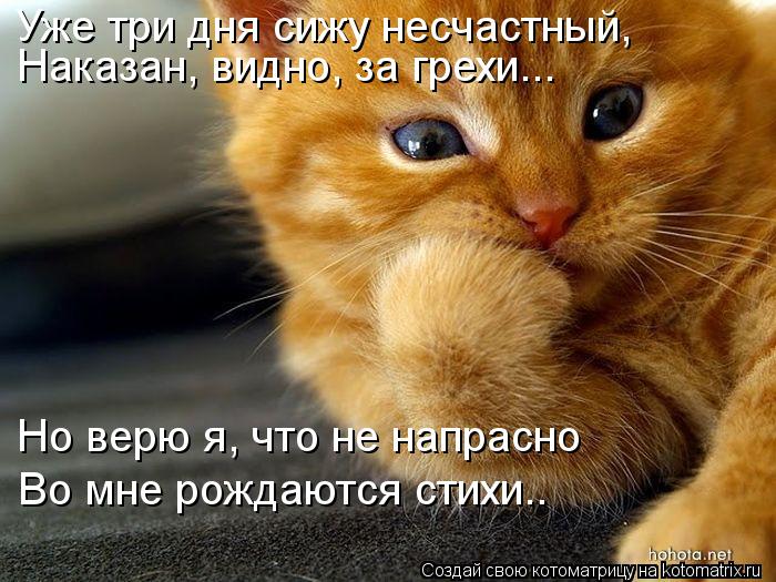 Уже три дня сижу несчастный, Но верю я, что не напрасно Во мне рождаются стихи.. Наказан, видно, за ... Котоматрица: Уже три дня сижу несчастный, Но верю я, что не напрасно Во мне рождаются стихи.. Наказан, видно, за грехи...