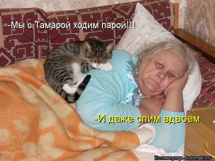 Котоматрица: -Мы с Тамарой ходим парой!!! -И даже спим вдвоем
