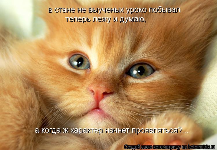 Котоматрица: в стане не выученых уроко побывал теперь лежу и думаю,  а когда ж характер начнет проявляться?...