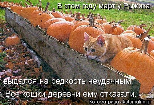 Котоматрица: В этом году март у Рыжика выдался на редкость неудачным. Все кошки деревни ему отказали.