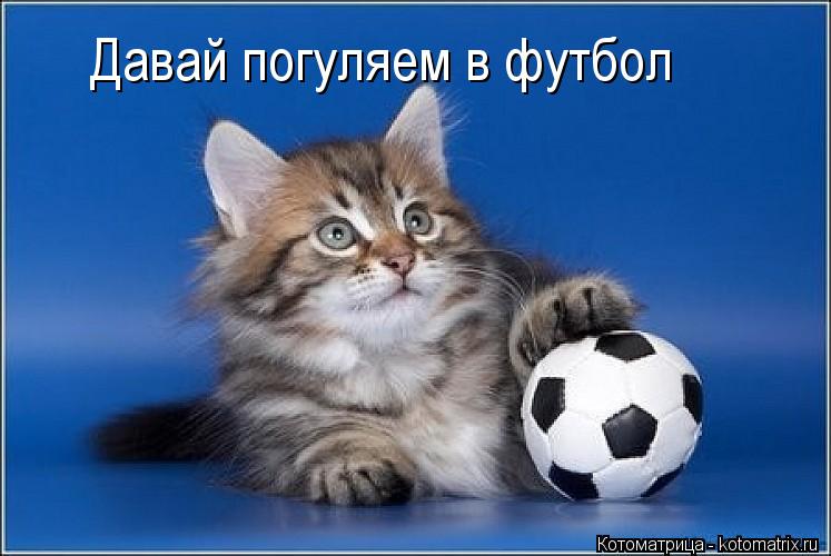 Давай погуляем в футбол... Котоматрица: Давай погуляем в футбол