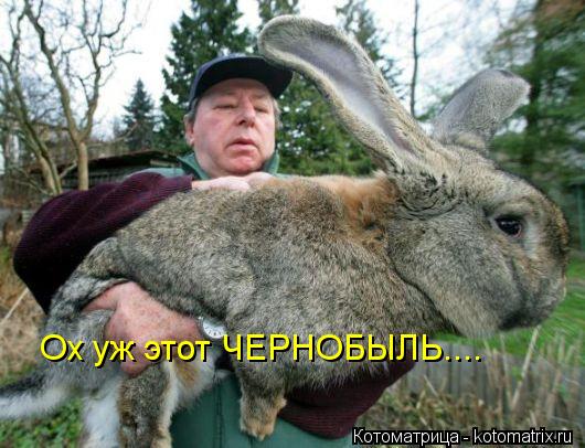 Котоматрица: Ох уж этот ЧЕРНОБЫЛЬ....