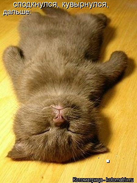 Котоматрица: спаткнулся сподкнулся, кувырнулся,  дальше: . .
