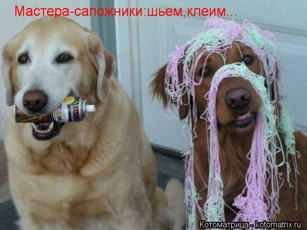Мастера-сапожники:шьем,клеим... Мастера-сапожники:шьем,клеим...... Котоматрица: Мастера-сапожники:шьем,клеим... Мастера-сапожники:шьем,клеим...