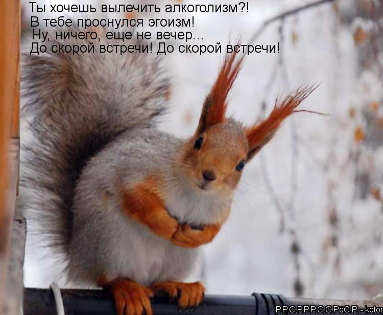Ты хочешь вылечить алкоголизм?! Но это В тебе проснулся эгоизм! Ну, ничего, еще не вечер... До скоро... Котоматрица: Ты хочешь вылечить алкоголизм?! Но это В тебе проснулся эгоизм! Ну, ничего, еще не вечер... До скорой встречи! До скорой встречи!
