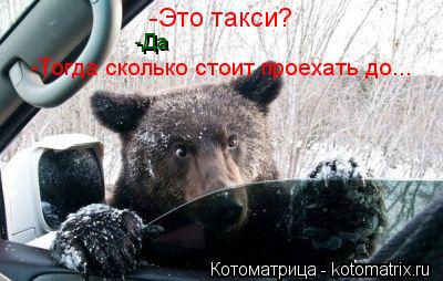 Котоматрица: -Это такси? -Да -Тогда сколько стоит проехать до...