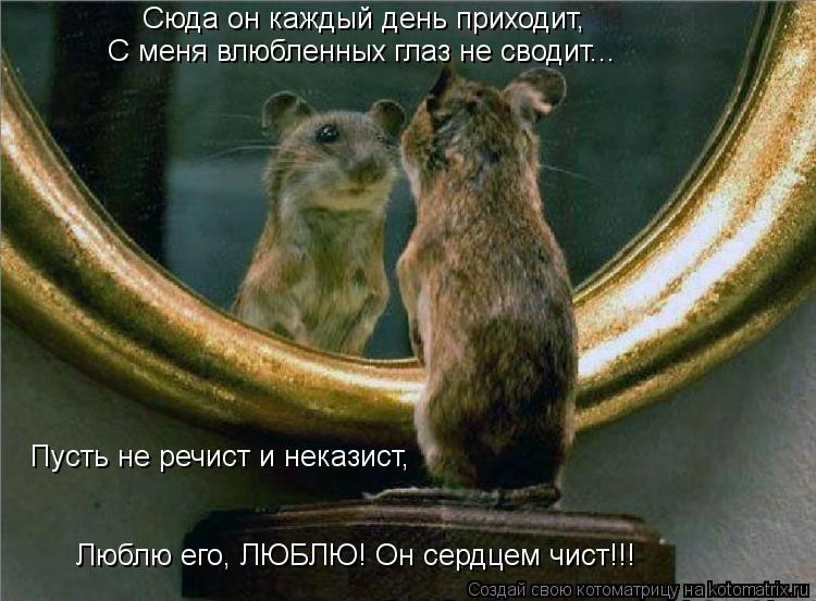 Котоматрица: Сюда он каждый день приходит, С меня влюбленных глаз не сводит... Пусть не речист и неказист, Люблю его, ЛЮБЛЮ! Он сердцем чист!!!