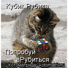 Котоматрица: Кубик Рубика: Попробуй вРубиться