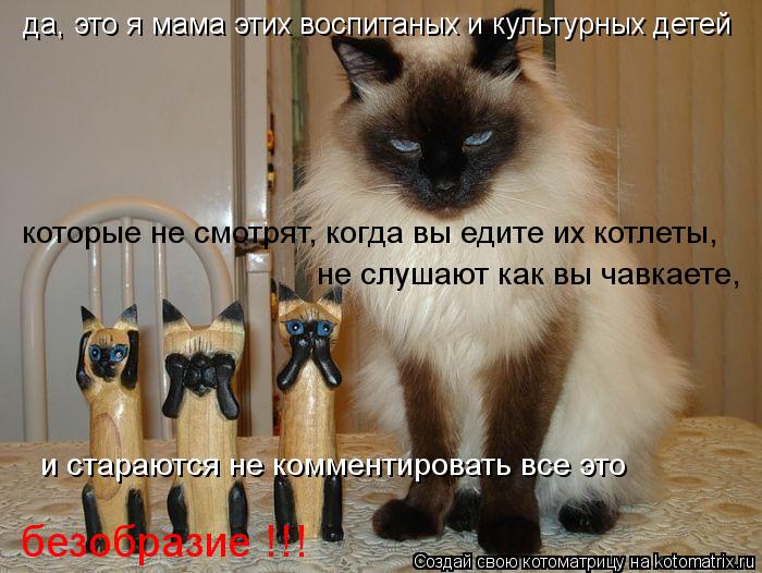 да, это я мама этих воспитаных и культурных детей которые не смотрят, когда вы едите их котлеты, не с... Котоматрица: да, это я мама этих воспитаных и культурных детей которые не смотрят, когда вы едите их котлеты, не слушают как вы чавкаете, и стараются не ко