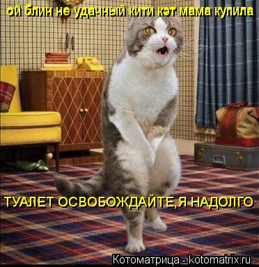 ой блин не удачный кити кэт мама купила ой блин не удачный кити кэт мама купила ТУАЛЕТ ОСВОБОЖДАЙТЕ,Я... Котоматрица: ой блин не удачный кити кэт мама купила ой блин не удачный кити кэт мама купила ТУАЛЕТ ОСВОБОЖДАЙТЕ,Я НАДОЛГО ТУАЛЕТ ОСВОБОЖДАЙТЕ,Я НАДОЛГО