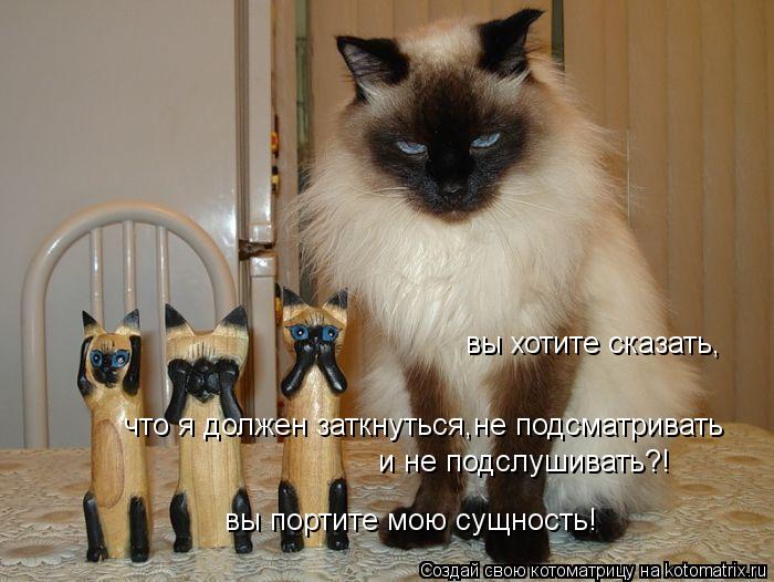 вы хотите сказать, что я должен заткнуться,не подсматривать и не подслушивать?! вы портите мою сущнос... Котоматрица: вы хотите сказать, что я должен заткнуться,не подсматривать и не подслушивать?! вы портите мою сущность!