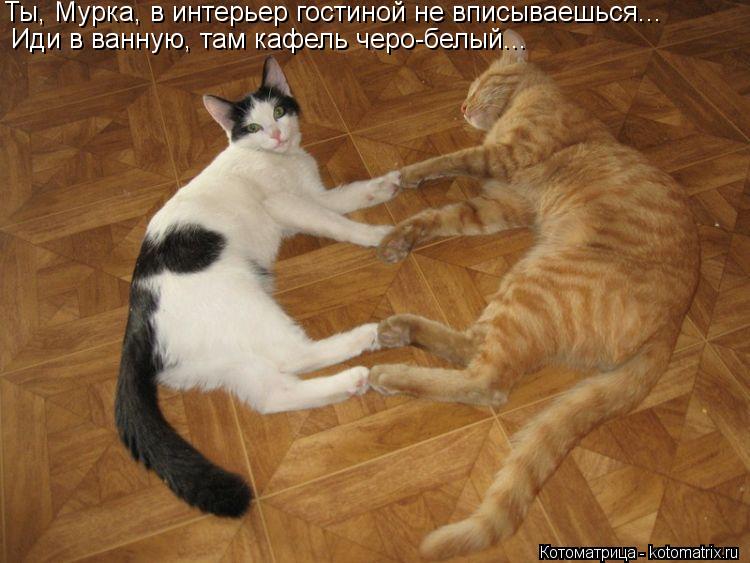 Ты, Мурка, в интерьер гостиной не вписываешься... Иди в ванную, там кафель черо-белый...... Котоматрица: Ты, Мурка, в интерьер гостиной не вписываешься... Иди в ванную, там кафель черо-белый...