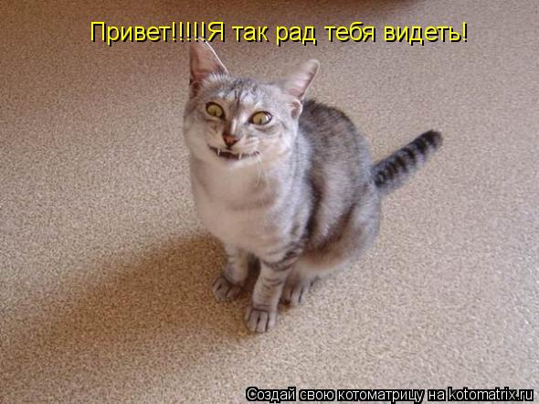 Привет!!!!!Я так рад тебя видеть!... Котоматрица: Привет!!!!!Я так рад тебя видеть!