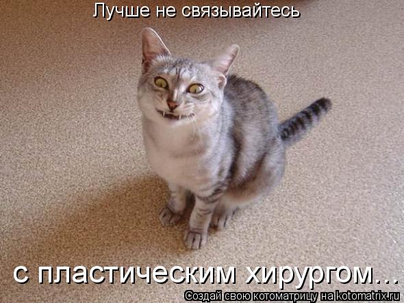 Лучше не связывайтесь с пластическим хирургом...... Котоматрица: Лучше не связывайтесь с пластическим хирургом...