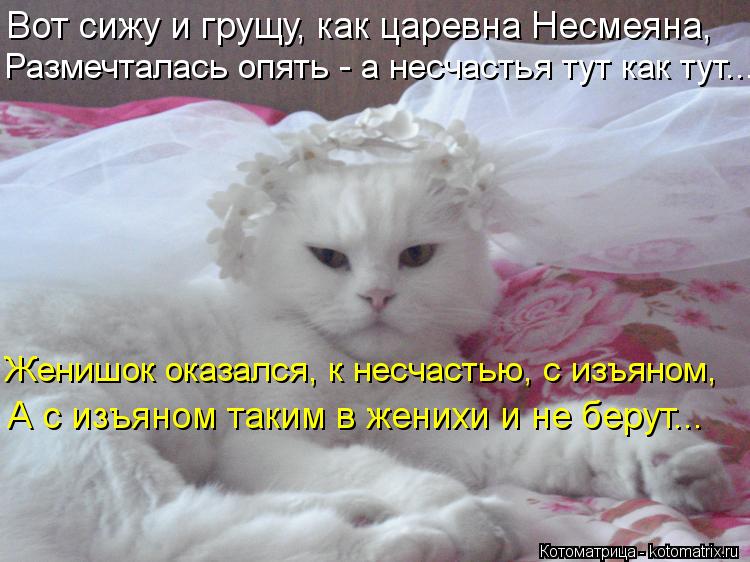 Вот сижу и грущу, как царевна Несмеяна, Женишок оказался, к несчастью, с изъяном, А с изъяном таким... Котоматрица: Вот сижу и грущу, как царевна Несмеяна, Женишок оказался, к несчастью, с изъяном, А с изъяном таким в женихи и не берут... Размечталась опять -