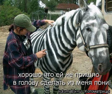 Котоматрица: хорошо что ей не пришло  в голову сделать из меня пони!