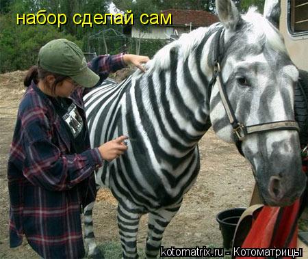набор сделай сам... Котоматрица: набор сделай сам