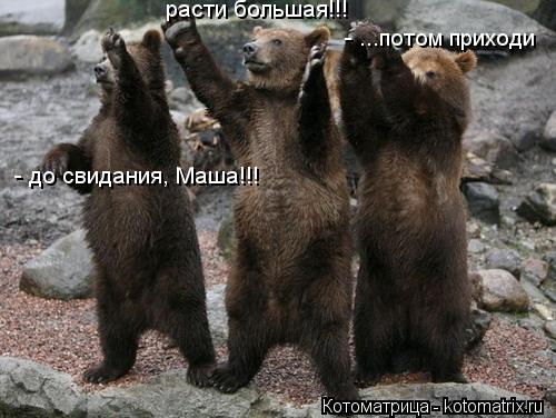 Котоматрица: - до свидания, Маша!!! расти большая!!! - ...потом приходи