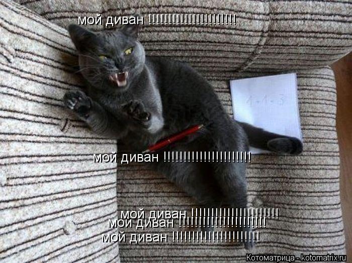 мой диван !!!!!!!!!!!!!!!!!!!!!! мой диван !!!!!!!!!!!!!!!!!!!!!! мой диван !!!!!!!!!!!!!!!!!!!!!! мо... Котоматрица: мой диван !!!!!!!!!!!!!!!!!!!!!! мой диван !!!!!!!!!!!!!!!!!!!!!! мой диван !!!!!!!!!!!!!!!!!!!!!! мой диван !!!!!!!!!!!!!!!!!!!!!! мой диван !!!!!!!!!!!!!!!!!!!!!!