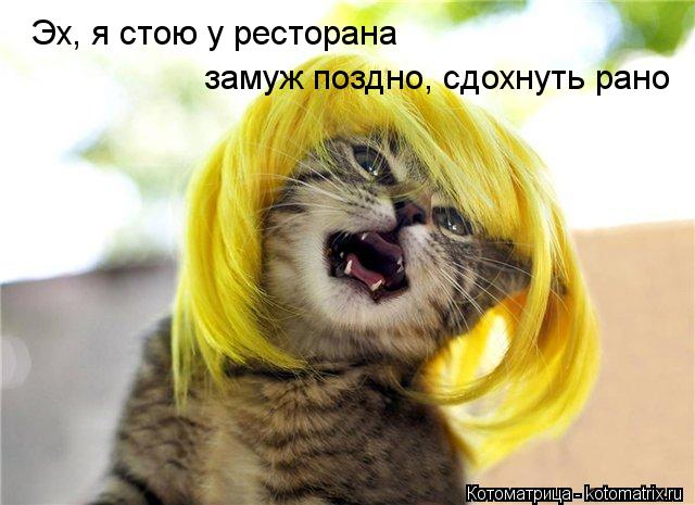 Эх, я стою у ресторана замуж поздно, сдохнуть рано... Котоматрица: Эх, я стою у ресторана замуж поздно, сдохнуть рано